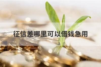 征信差哪里可以借钱急用？这几个征信差也能秒到账