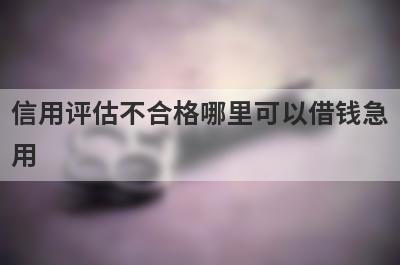 信用评估不合格哪里可以借钱急用？这几个信用评估不合格也能秒到账