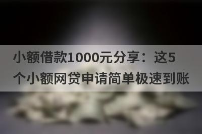 小额借款1000元分享：这5个小额网贷申请简单极速到账！