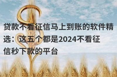 贷款不看征信马上到账的软件精选：这五个都是2024不看征信秒下款的平台