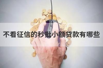 不看征信的秒批小额贷款有哪些？独家盘点线上贷款不看征信2024