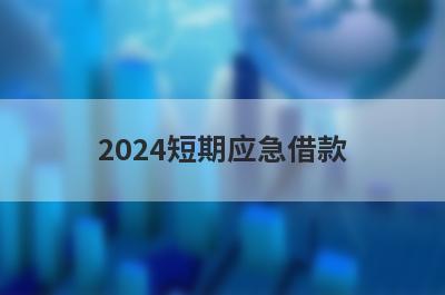 2024短期应急借款 可以立即下款的网贷