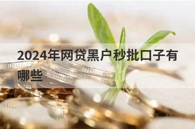 2024年网贷黑户秒批口子有哪些？这五个容易下款