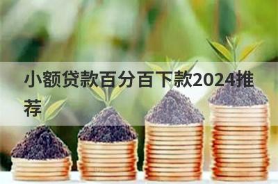 小额贷款百分百下款2024推荐，这些好申请并马上到账