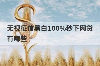 无视征信黑白100%秒下网贷
有哪些

