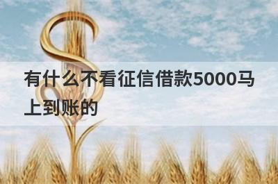 有什么不看征信借款5000马上到账的？可以试试这5个小额贷款，借钱快好下款！