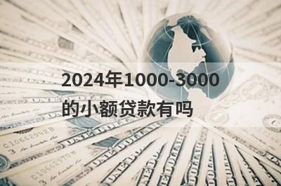 2024年1000-3000的小额贷款有吗？这5个平台极速借款秒到账