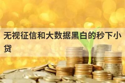 无视征信和大数据黑白的秒下小贷 整理5个网贷平台无视黑白户