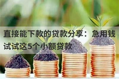 直接能下款的贷款分享：急用钱试试这5个小额贷款！