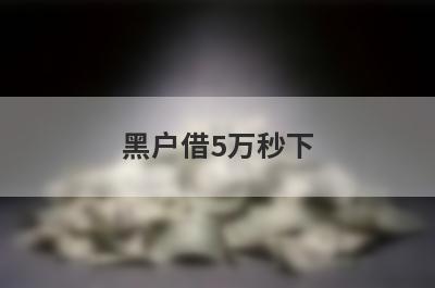 黑户借5万秒下 黑户有逾期也能借到钱