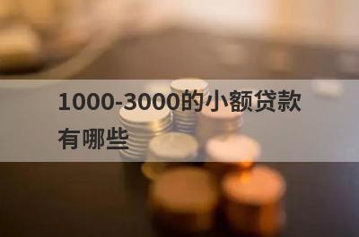 1000-3000的小额贷款
有哪些
