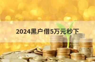 2024黑户借5万元秒下(不限年龄的借钱软件)
