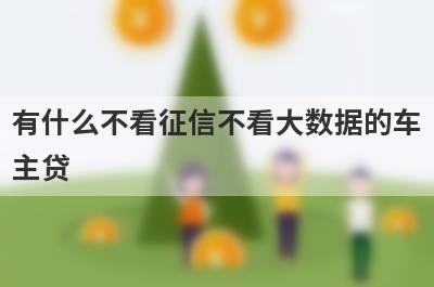 有什么不看征信不看大数据的车主贷？精选五个好下款的贷款