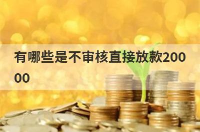 有哪些是不审核直接放款20000 这几个不审核直接放款20000100%能借到