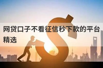 网贷口子不看征信秒下款的平台精选，这5个小额平台容易借钱秒下款