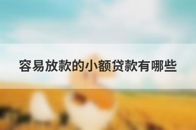 容易放款的小额贷款有哪些？不看征信秒批小额贷款
