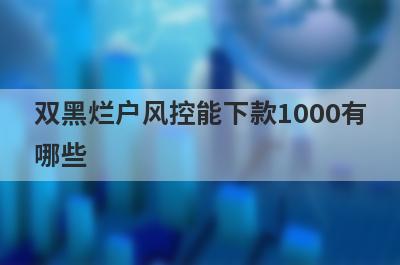 双黑烂户风控能下款1000有
哪些
