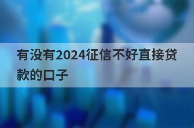 有没有2024征信不好直接贷
款的口子

