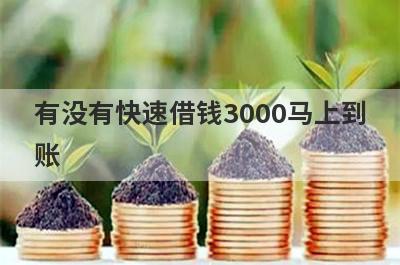 有没有快速借钱3000马上到账？独家盘点急需5万贷款能马上下款的