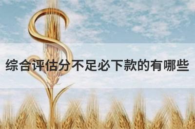 综合评估分不足必下款的有哪些？小编整理了5个综合评估不及格必过贷款