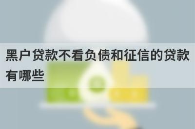 黑户贷款不看负债和征信的贷款有哪些？推荐5个2024年贷款下款快不看征信