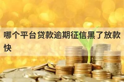 哪个平台贷款逾期征信黑了放款
快
