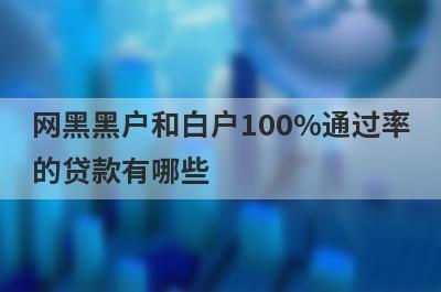 网黑黑户和白户100%通过率的贷款有哪些？这5个贷款容易通过