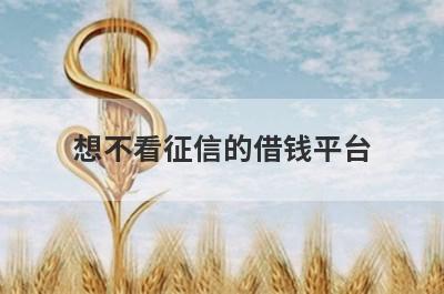 想不看征信的借钱平台