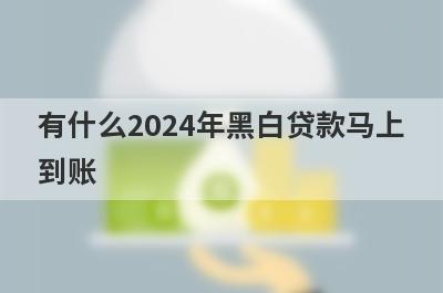 有什么2024年黑白贷款马上到账？可以试试这5个小额贷款
