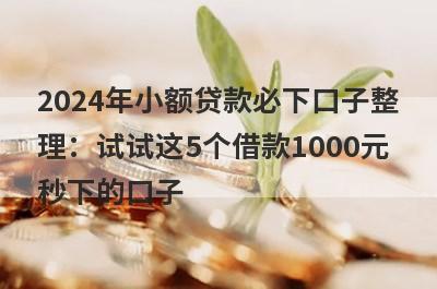 2024年小额贷款必下口子整
理：试试这5个借款1000元
秒下的口子
