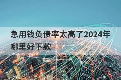 急用钱负债率太高了2024年
哪里好下款
