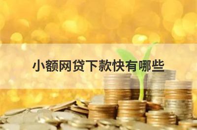 小额网贷下款快有哪些