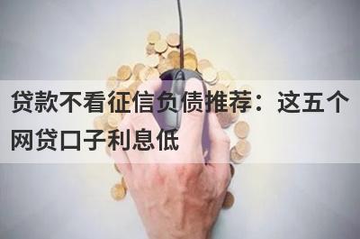 贷款不看征信负债推荐：这五个网贷口子利息低，秒下款！