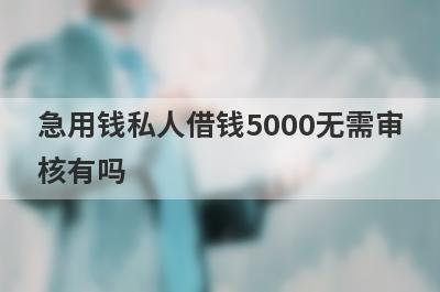 急用钱私人借钱5000无需审核有吗？这些口子轻松借款