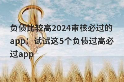 负债比较高2024审核必过的app：试试这5个负债过高必过app