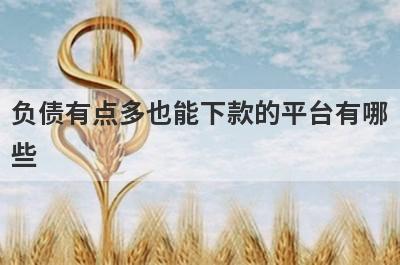 负债有点多也能下款的平台有哪些？盘点5个负债比较高可以借款的口子