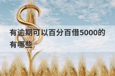 有逾期可以百分百借5000的有哪些？有逾期必下款口子