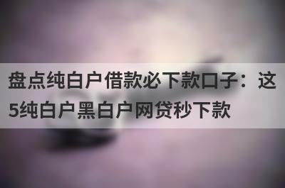 盘点纯白户借款必下款口子：这5纯白户黑白户网贷秒下款