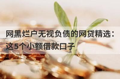 网黑烂户无视负债的网贷精选：这5个小额借款口子，轻松借到急需资金！