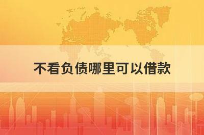 不看负债哪里可以借款