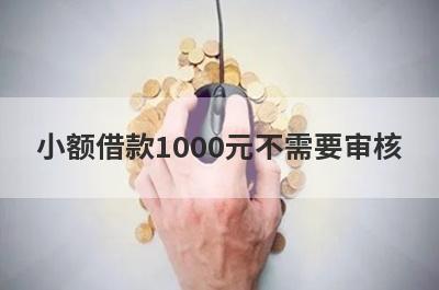 小额借款1000元不需要审核 独家盘点双黑逾期严重能下款的平台2024