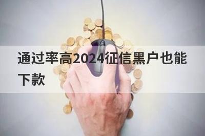 通过率高2024征信黑户也能下款，这几个小额贷款极速到账