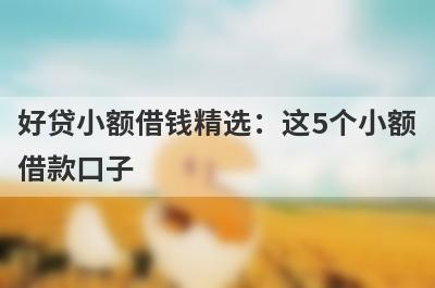 好贷小额借钱精选：这5个小额
借款口子
