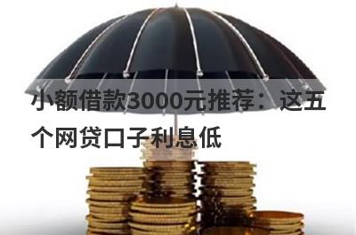 小额借款3000元推荐：这五个网贷口子利息低，秒下款！
