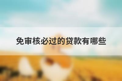 免审核必过的贷款有哪些？推荐5个很好通过口子