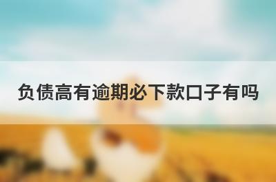 负债高有逾期必下款口子有吗？这几个逾期征信黑了也好下款