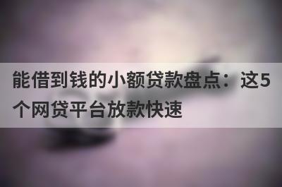 能借到钱的小额贷款盘点：这5个网贷平台放款快速，可以迅速解决资金需求！