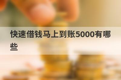 快速借钱马上到账5000有哪些？整理5个借钱秒到账app安全