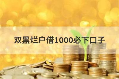 双黑烂户借1000必下口子，这5个双黑烂户马上到账