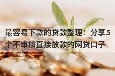 最容易下款的贷款整理：分享5个不审核直接放款的网贷口子